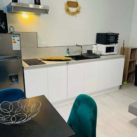 Le Caubous Plein Centre Calme Avec Et Cuisine Equipee Apartment Bagneres-de-Bigorre