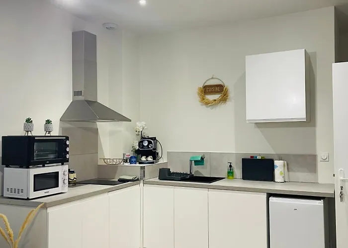 Lägenhet Le Caubous Plein Centre Calme Avec Et Cuisine Equipee