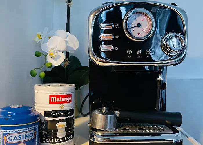 Le Caubous Plein Centre Calme Avec Et Cuisine Equipee Lägenhet