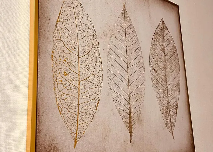 Le Caubous Plein Centre Calme Avec Et Cuisine équipée Bagnères-de-Bigorre